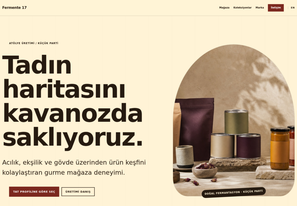 Fermente 17 web sitesi — masaüstü görünümü