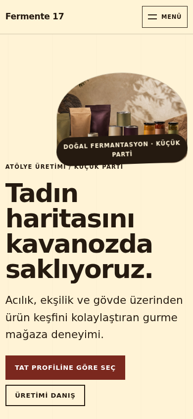 Fermente 17 web sitesi — mobil görünümü