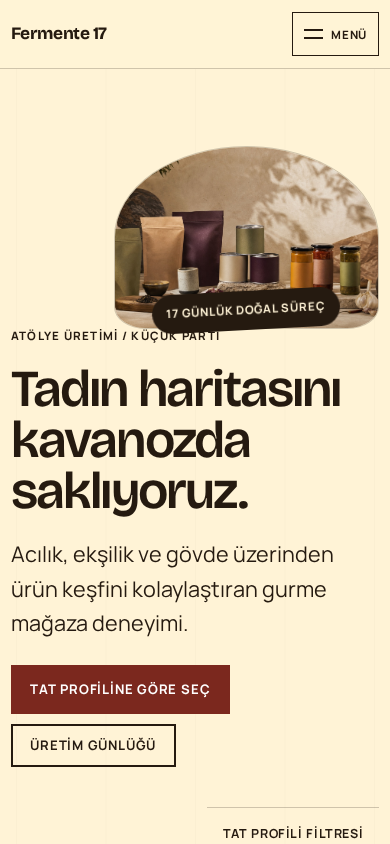 Fermente 17 web sitesi — mobil görünümü