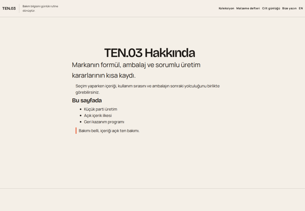 TEN.03 web sitesi — arşiv görünümü