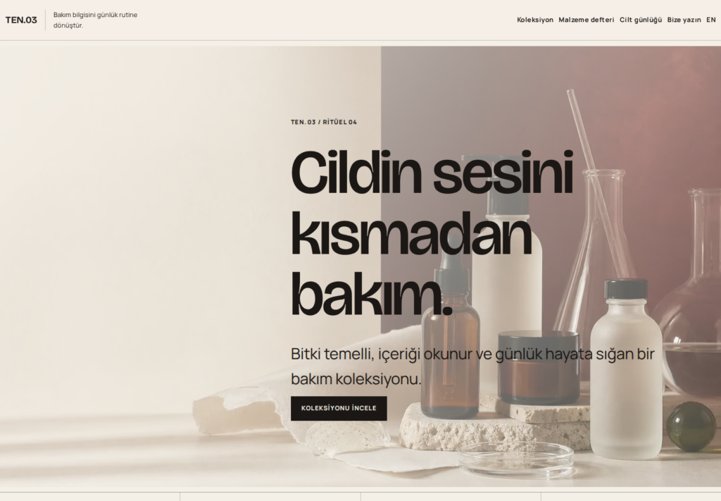 TEN.03 web sitesi — masaüstü görünümü