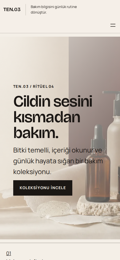 TEN.03 web sitesi — mobil görünümü
