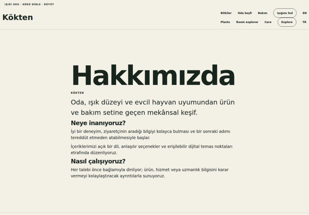 Kökten web sitesi — arşiv görünümü