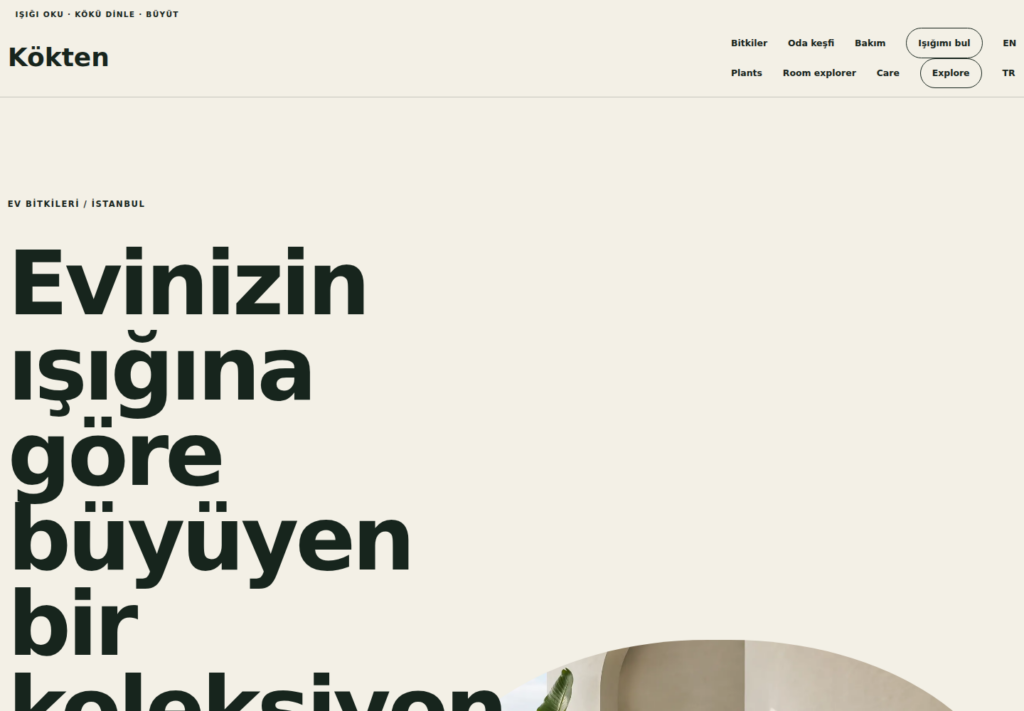 Kökten web sitesi — masaüstü görünümü
