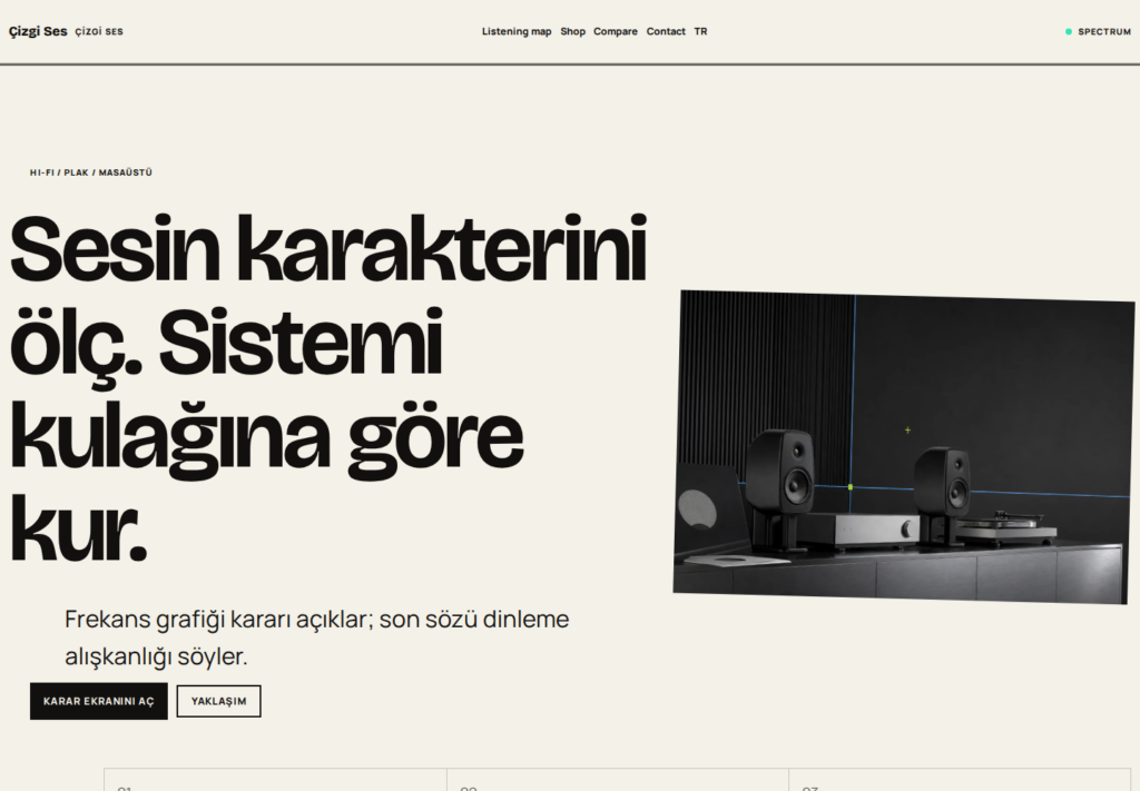 Çizgi Ses web sitesi — masaüstü görünümü