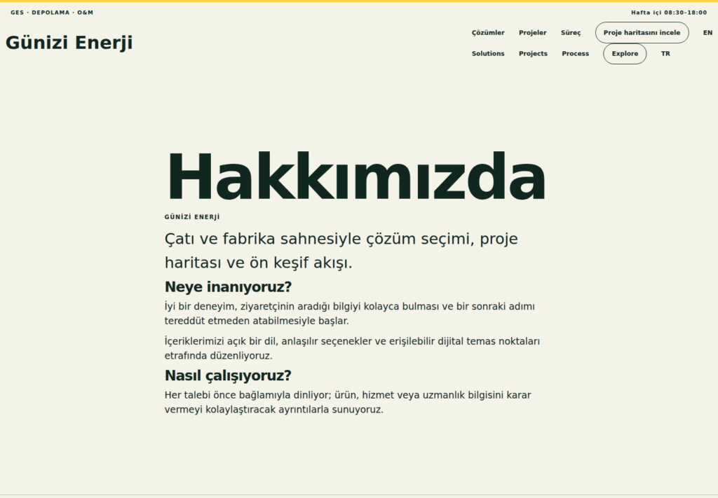 Günizi Enerji web sitesi — arşiv görünümü