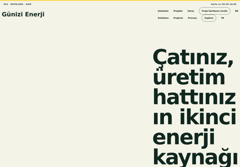 Günizi Enerji web sitesi — masaüstü görünümü