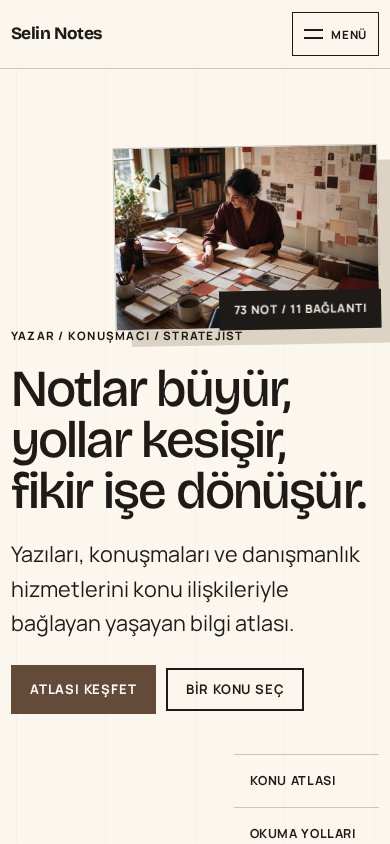 Selin Notes — Mobile view