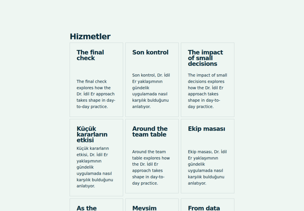 Dr. İdil Er web sitesi — İç sayfa görünümü