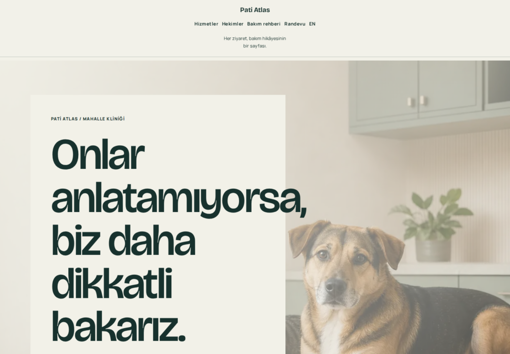 Pati Atlas web sitesi — masaüstü görünümü